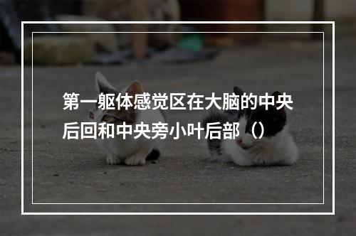 第一躯体感觉区在大脑的中央后回和中央旁小叶后部（）