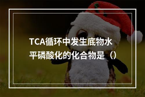 TCA循环中发生底物水平磷酸化的化合物是（）