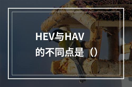 HEV与HAV的不同点是（）