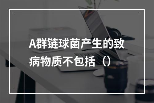 A群链球菌产生的致病物质不包括（）