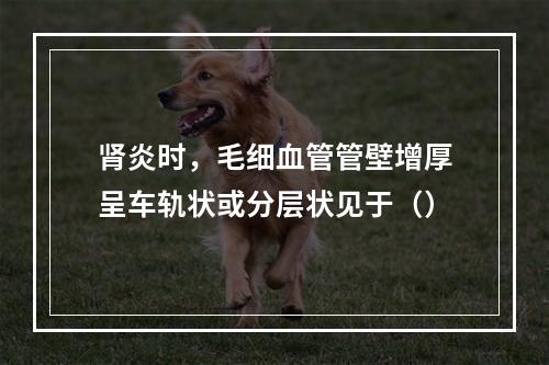 肾炎时，毛细血管管壁增厚呈车轨状或分层状见于（）