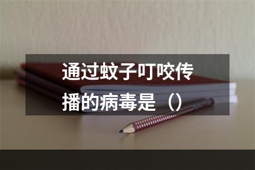 通过蚊子叮咬传播的病毒是（）