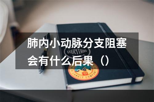 肺内小动脉分支阻塞会有什么后果（）