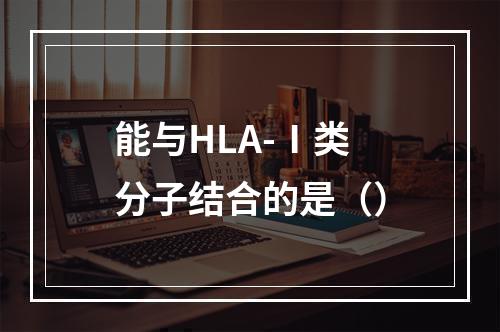 能与HLA-Ⅰ类分子结合的是（）