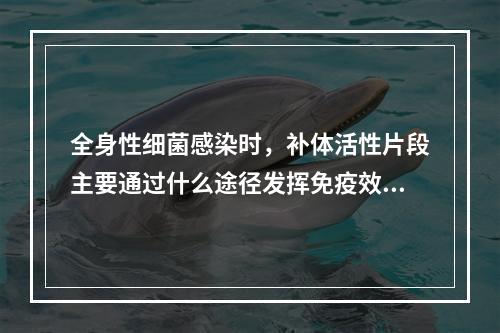 全身性细菌感染时，补体活性片段主要通过什么途径发挥免疫效应作