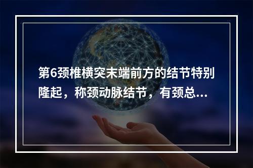 第6颈椎横突末端前方的结节特别隆起，称颈动脉结节，有颈总动脉