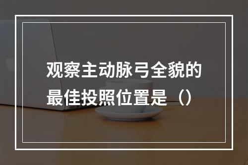 观察主动脉弓全貌的最佳投照位置是（）