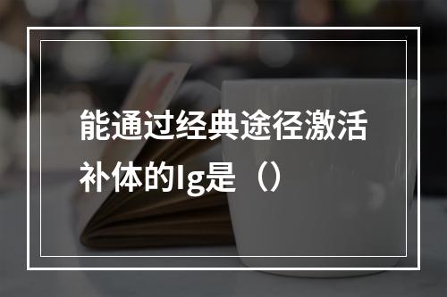 能通过经典途径激活补体的Ig是（）