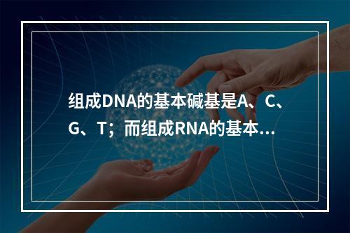 组成DNA的基本碱基是A、C、G、T；而组成RNA的基本碱基