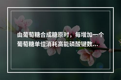 由葡萄糖合成糖原时，每增加一个葡萄糖单位消耗高能磷酸键数为（