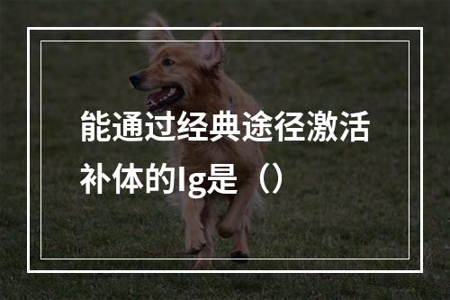 能通过经典途径激活补体的Ig是（）