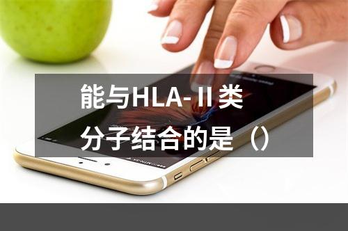 能与HLA-Ⅱ类分子结合的是（）