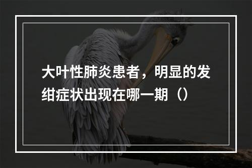 大叶性肺炎患者，明显的发绀症状出现在哪一期（）