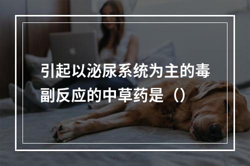 引起以泌尿系统为主的毒副反应的中草药是（）