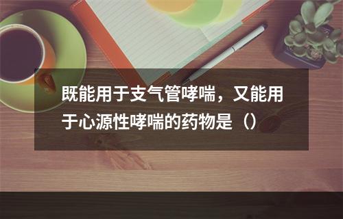 既能用于支气管哮喘，又能用于心源性哮喘的药物是（）