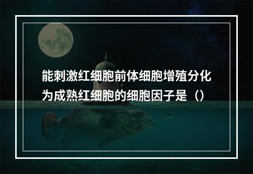 能刺激红细胞前体细胞增殖分化为成熟红细胞的细胞因子是（）