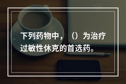 下列药物中，（）为治疗过敏性休克的首选药。