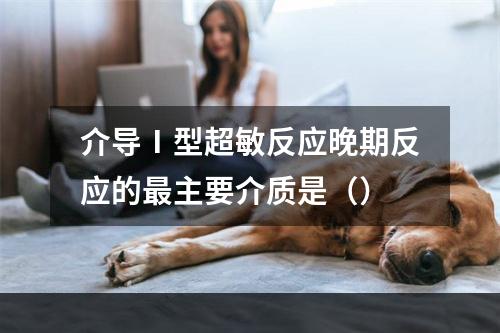 介导Ⅰ型超敏反应晚期反应的最主要介质是（）