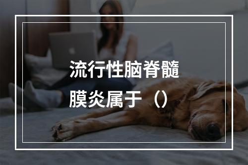 流行性脑脊髓膜炎属于（）