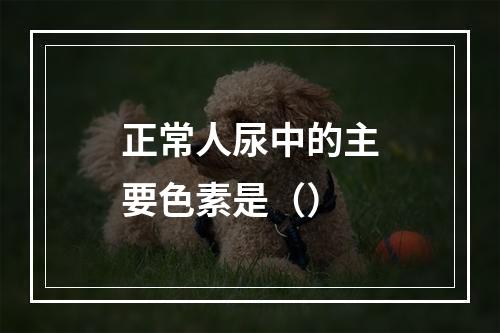 正常人尿中的主要色素是（）