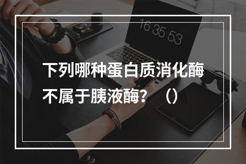 下列哪种蛋白质消化酶不属于胰液酶？（）