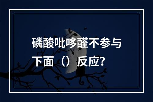 磷酸吡哆醛不参与下面（）反应？