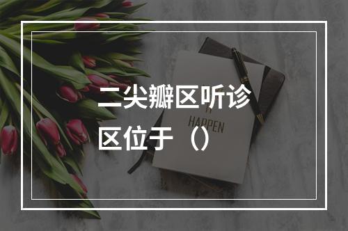 二尖瓣区听诊区位于（）