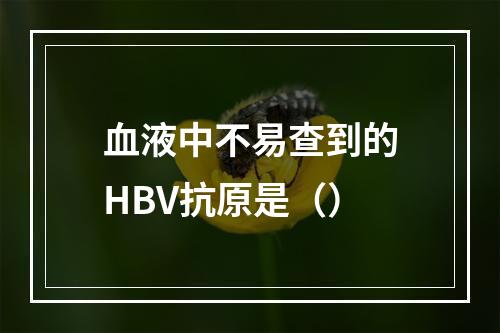 血液中不易查到的HBV抗原是（）