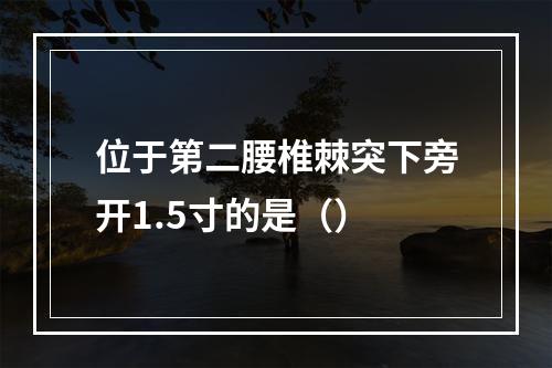 位于第二腰椎棘突下旁开1.5寸的是（）