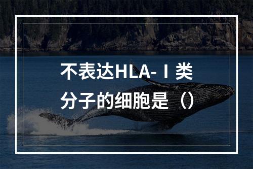 不表达HLA-Ⅰ类分子的细胞是（）