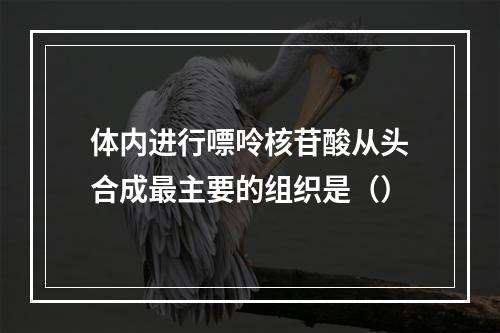 体内进行嘌呤核苷酸从头合成最主要的组织是（）