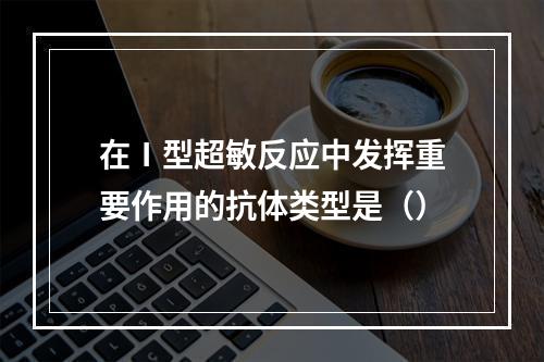 在Ⅰ型超敏反应中发挥重要作用的抗体类型是（）