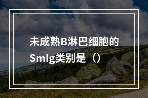 未成熟B淋巴细胞的SmIg类别是（）