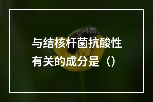 与结核杆菌抗酸性有关的成分是（）