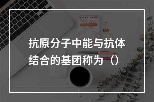 抗原分子中能与抗体结合的基团称为（）