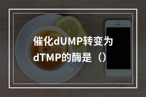 催化dUMP转变为dTMP的酶是（）