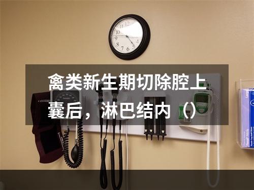 禽类新生期切除腔上囊后，淋巴结内（）