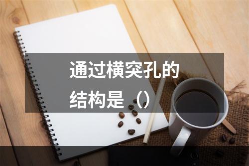 通过横突孔的结构是（）