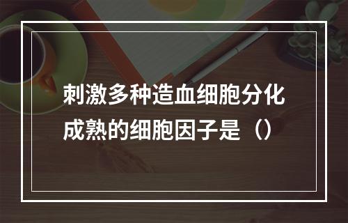 刺激多种造血细胞分化成熟的细胞因子是（）