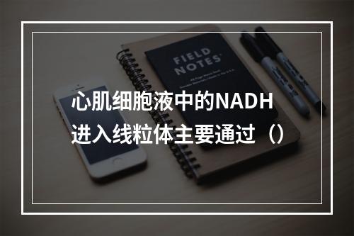 心肌细胞液中的NADH进入线粒体主要通过（）