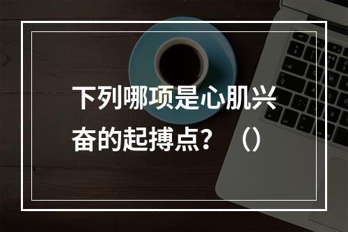 下列哪项是心肌兴奋的起搏点？（）