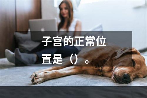 子宫的正常位置是（）。