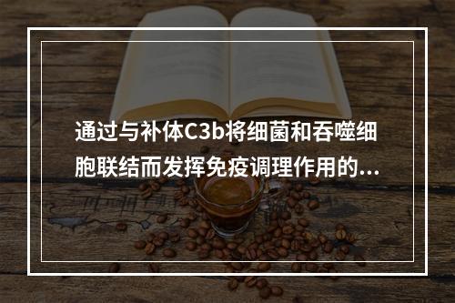 通过与补体C3b将细菌和吞噬细胞联结而发挥免疫调理作用的抗体