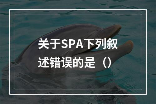 关于SPA下列叙述错误的是（）