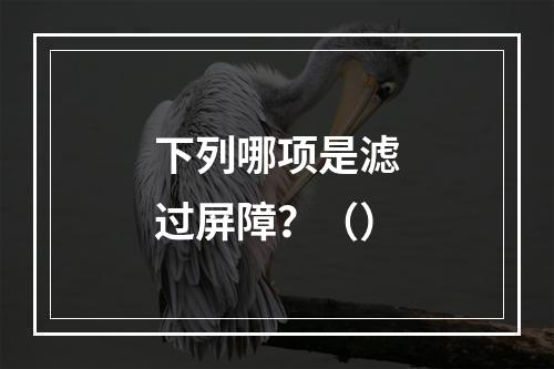 下列哪项是滤过屏障？（）