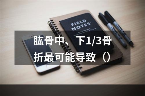 肱骨中、下1/3骨折最可能导致（）