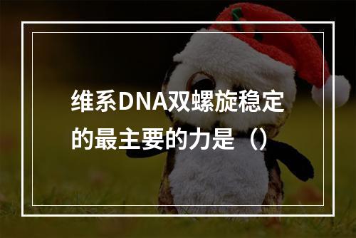 维系DNA双螺旋稳定的最主要的力是（）