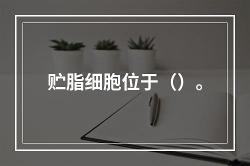 贮脂细胞位于（）。