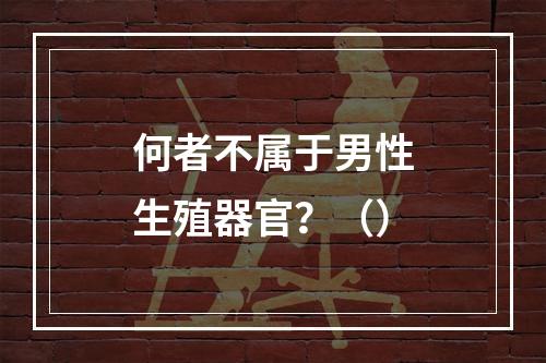 何者不属于男性生殖器官？（）