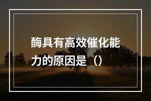 酶具有高效催化能力的原因是（）